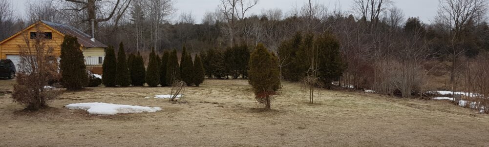 Former location of Herbert Wheeler's Shop, Belgrave, Ontario