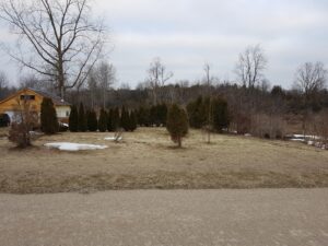 Former location of Herbert Wheeler's Shop, Belgrave, Ontario